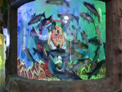 Standardizing thickness specifications for commercial Acrylic Aquarium Tanks