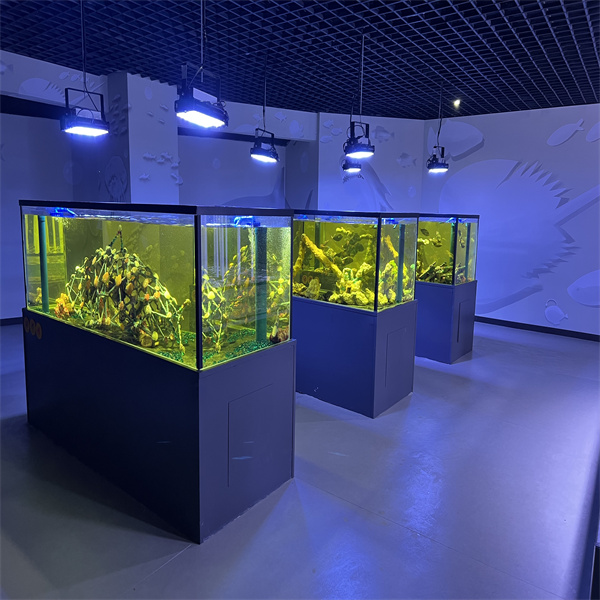 Acrylic Sheet Fish Tanks