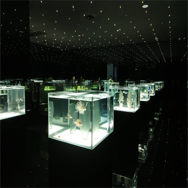 Sourcing high quality Acrylic Aquarium Tanks for public exhibits