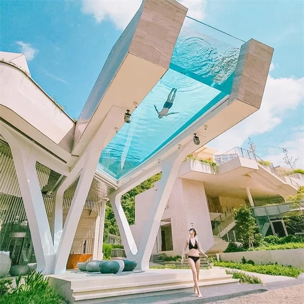 Transforming Spaces with Large Aquarium Design