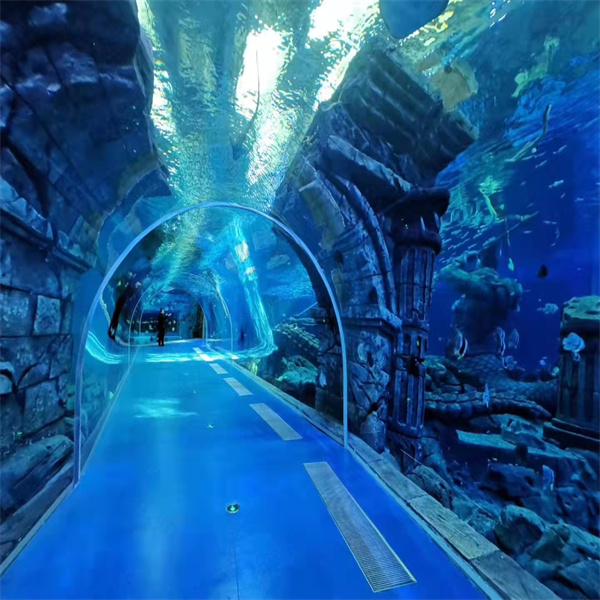 Incorporating a Fish Tunnel into Your Tank's Ecosystem for Happy, Healthy Fish
