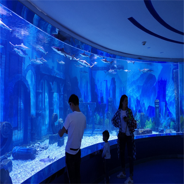 Make a Statement with a Unique Acrylic Aquarium Design
