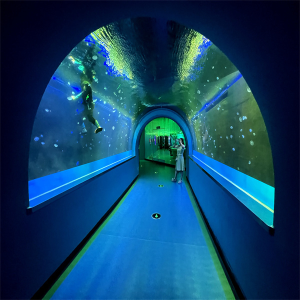 Witness the beauty of ocean life up close and personal