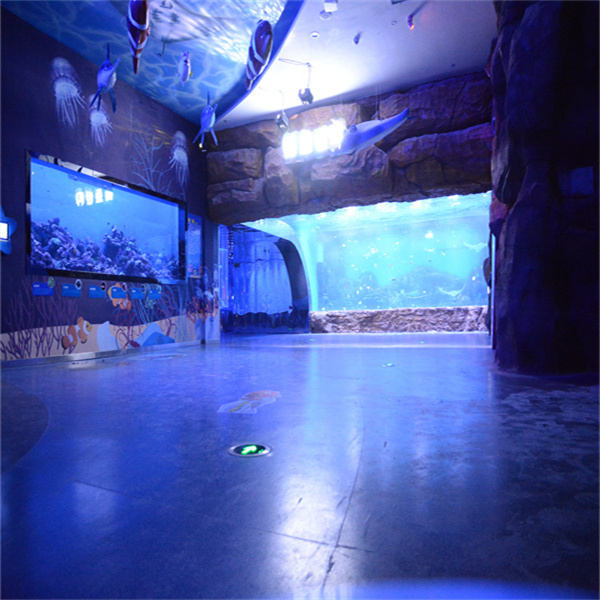 Safety Standards You Need to Know for Large Scale Aquarium Design