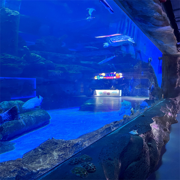 The Importance of Water Quality in Commercial Fish Tanks