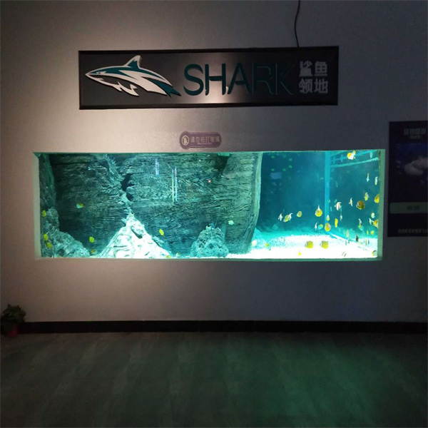Transform Your Home or Business with Our Selection of Big Fish Tanks