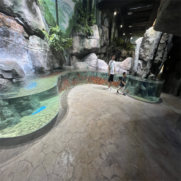 Essential Elements of Fish Aquarium Design