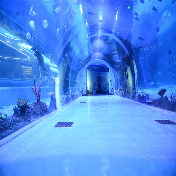 The Fish Aquarium Tunnel