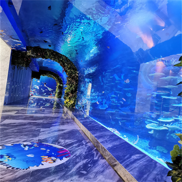 A Giant Aquarium