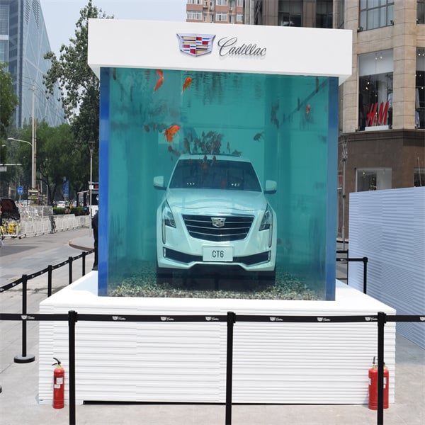 Discovering the Beauty of Exotic Fish in a Large Aquarium Fish Tank