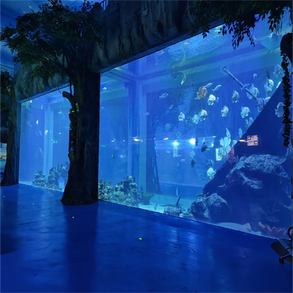 Enjoy the clarity and durability of an acrylic fish aquarium in your living space.