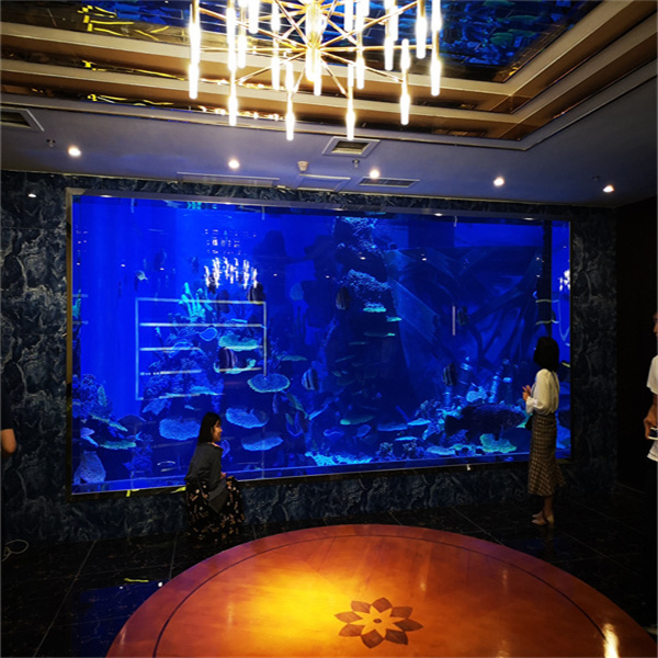 Onovertroffen helderheid en duurzaamheid met op maat gemaakte plexiglas aquaria