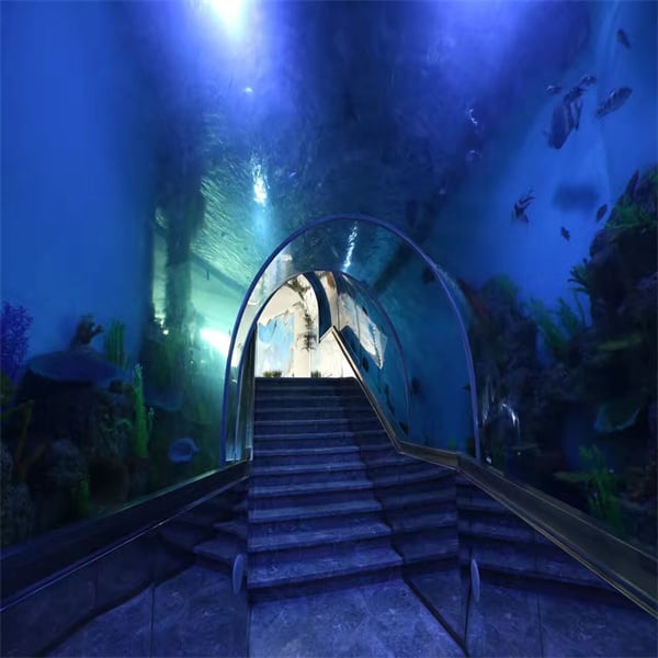 Set Out to Explore Jaw-Dropping Underwater Restaurants
