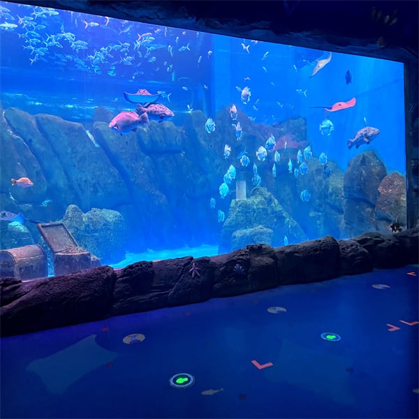 User-Friendly Tasks of Your Big Fish Custom Acrylic Tank