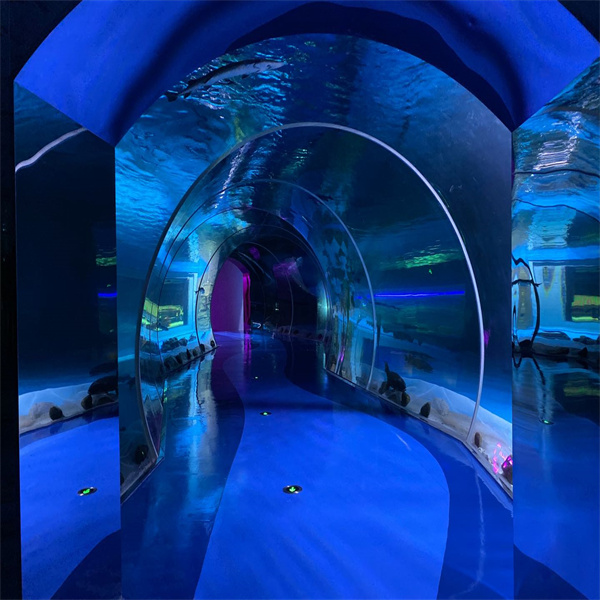 The Beauty of an Aquarium Tunnel