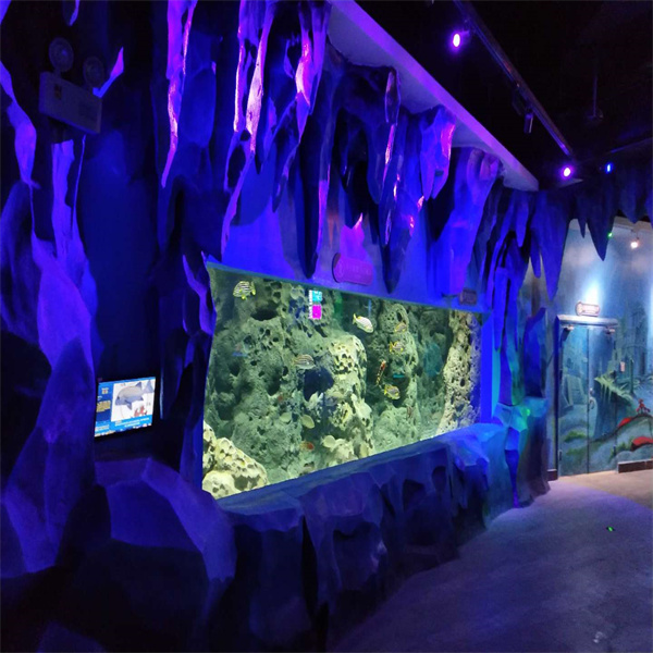 Find the Perfect Fit for Your Fish in Our Selection of Large Aquarium Tanks