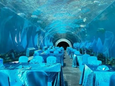 How to Pick Reliable Manufacturers of Custom Acrylic Aquariums