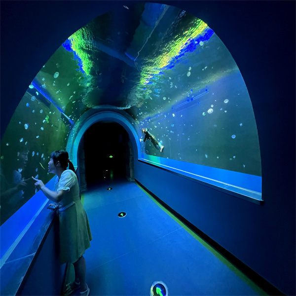 Explore the Wonders of the Sea in Our Stunning Underwater Tunnel Aquarium