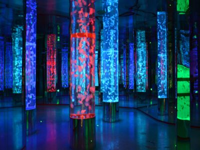 Why Acrylic is the Ultimate Feature for Seamless Custom Aquarium Construction