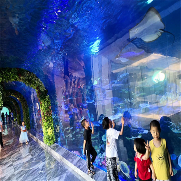 Transform your space into a stunning aquatic wonderland.
