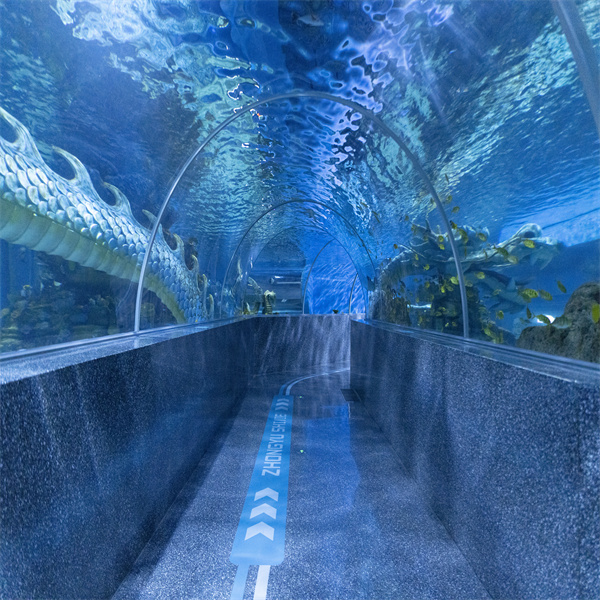 Explore the Wonders of Underwater Life with a Tunnel Fish Tank
