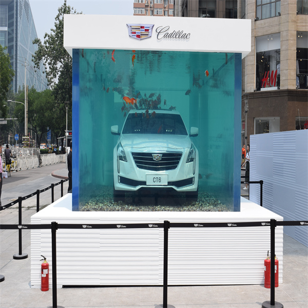 Why an Acrylic Fish Tank is Perfect for All Types of Fish? 