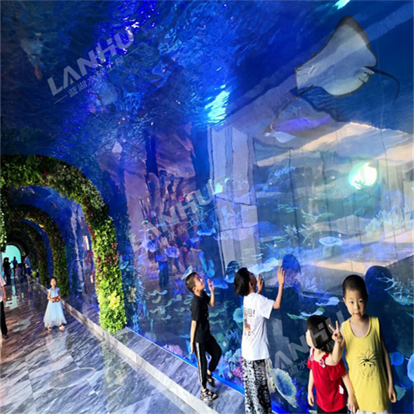 Big Aquariums and their Fascinating Inhabitants