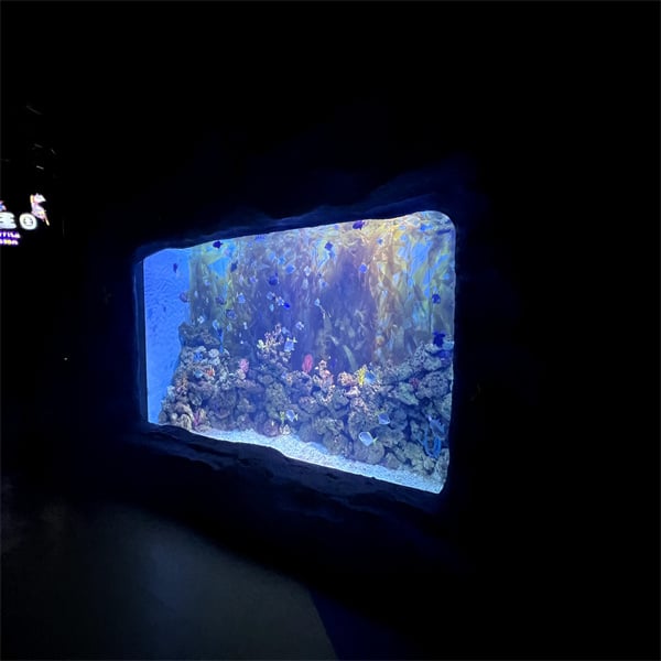 Easy Maintenance Tips for Your Acrylic Fish Tank