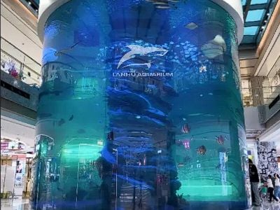 What Are the Advantages of Acrylic Pool Wall Panel for Modern Swimming Pools