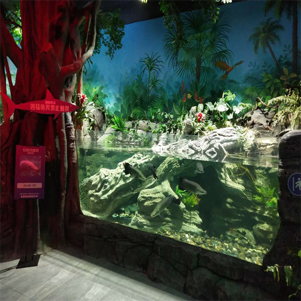 Unleashing Your Creativity with Unique Fish Tank Designs