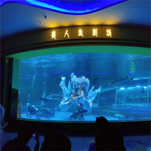 The Wonders of Large-Scale Fish Tanks