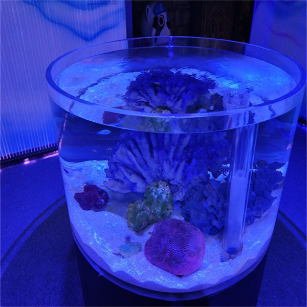 Unlock the Secrets of a Beautiful and Vibrant Large Goldfish Aquarium