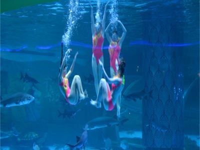 Procurement strategies for heavy duty commercial acrylic aquarium tanks