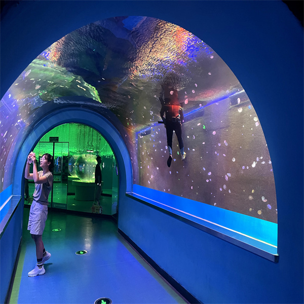 Transform Your Perception of Marine Life in Our Underwater Tunnel Aquarium