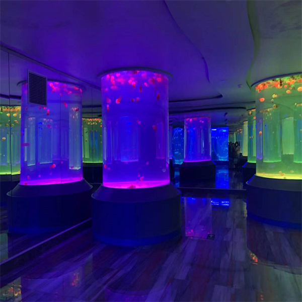 Transformez votre espace de vie grâce à l'élégance moderne d'un aquarium cylindrique en acrylique.