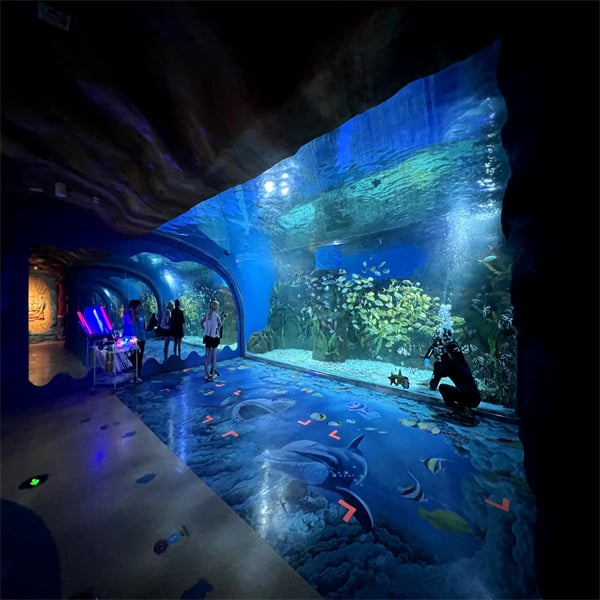 Bring the Ocean Indoors with a Big Size Aquarium in Your Living Room