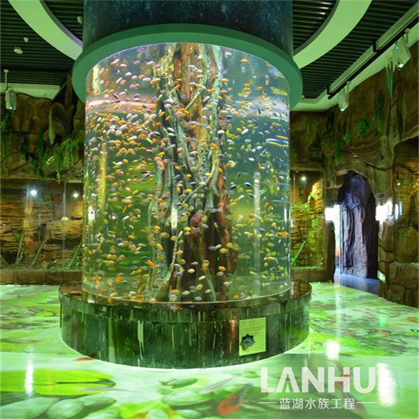 Exploring the Depths of Big Aquariums