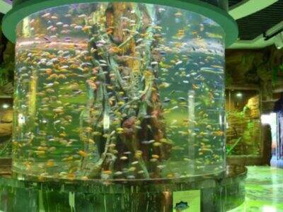 Bulk pricing factors for custom Acrylic Aquarium Tanks
