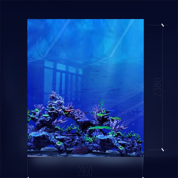 Experience the Beauty of Custom Acrylic Fish Tanks in Your Home