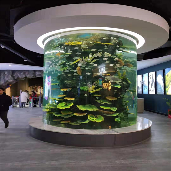 Unique Cylinder Aquarium for Your Fish