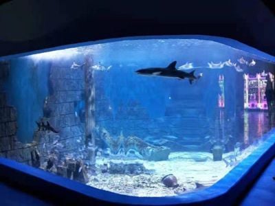 Mitigating risk in the shipping and rigging of large acrylic aquarium panels