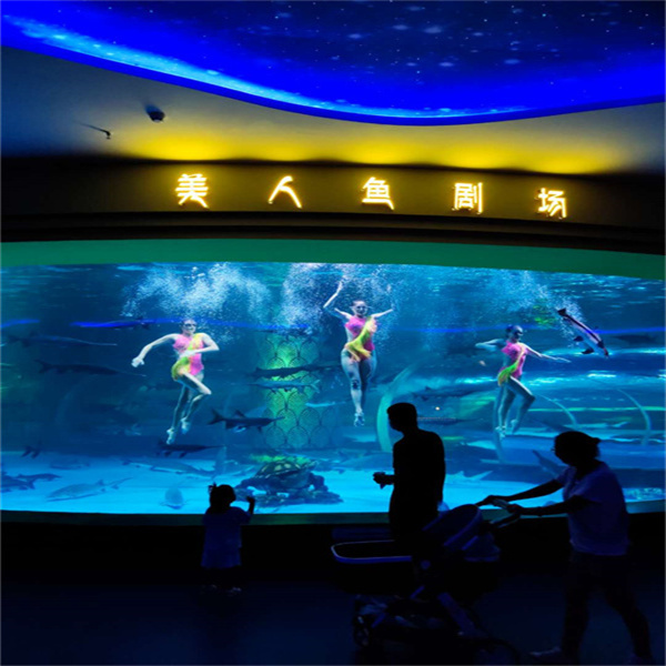 Bringing Nature Indoors with a Large Fish Aquarium