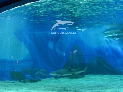 The economics of installing a large acrylic aquarium in a shopping center