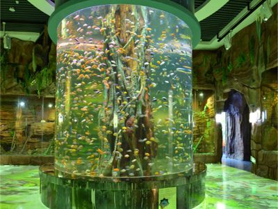 How We Engineer Underwater Restaurant Projects for Safety and Style