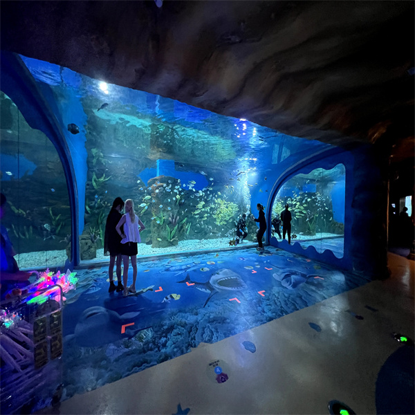 Create a Stunning Focal Point with a Big Size Aquarium for Your Home