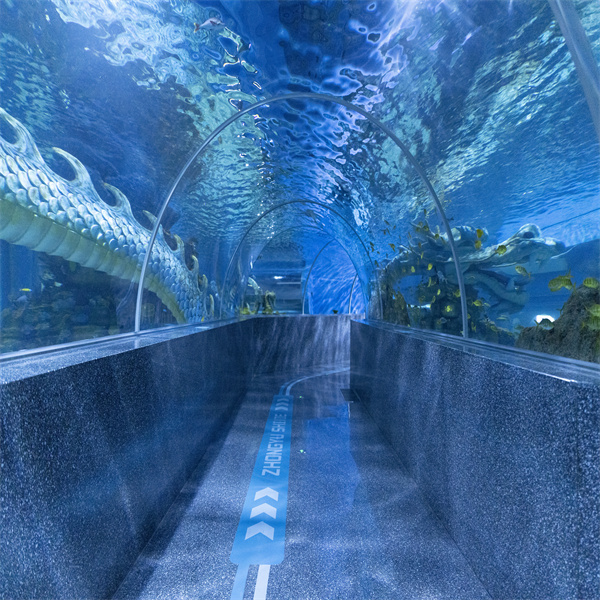 Discovering the Wonders of the Ocean in a Water Tunnel Aquarium