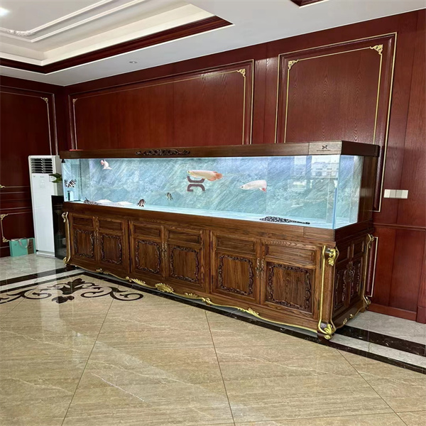 Witnessing the Wonders of a Massive Aquarium Tank