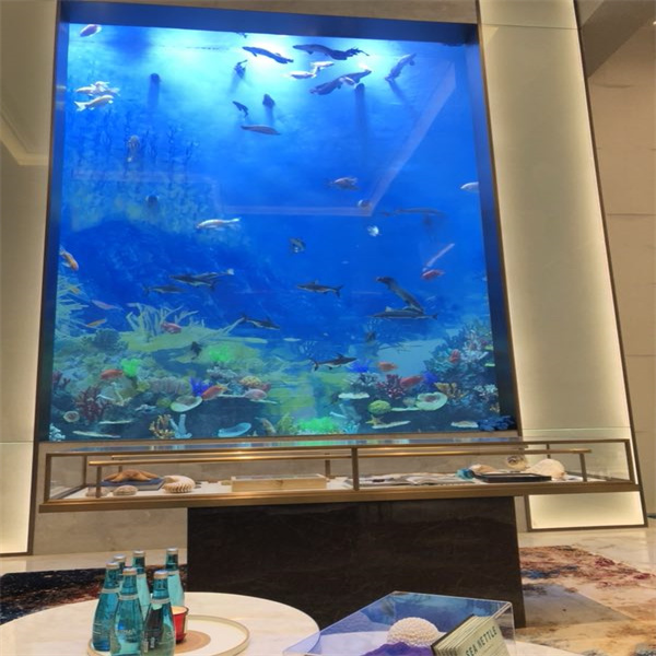 Make a splash with our cost-effective acrylic tank solutions