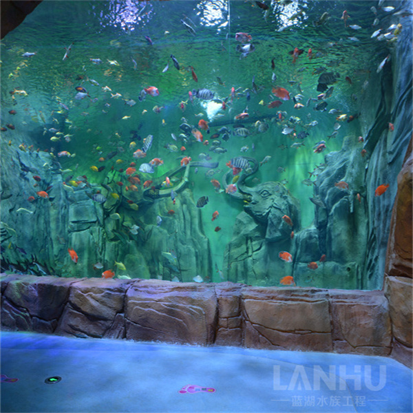 Elevate your fish keeping hobby with a sleek and stylish acrylic fish aquarium.