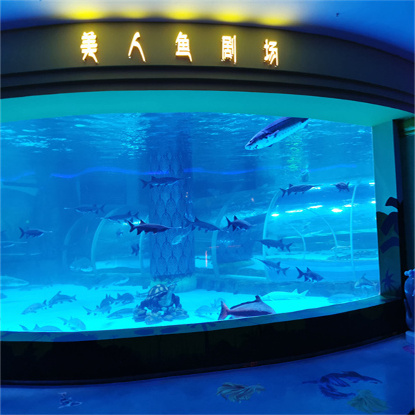 Experience the mesmerizing world of aquatic creatures with an acrylic fish aquarium.